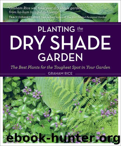 Planting the Dry Shade Garden by Graham Rice