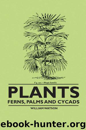 Plants - Ferns, Palms and Cycads by William Watson