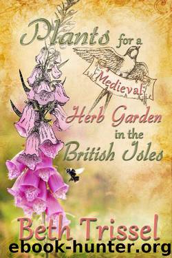 Plants For A Medieval Herb Garden in the British Isles by Beth Trissel