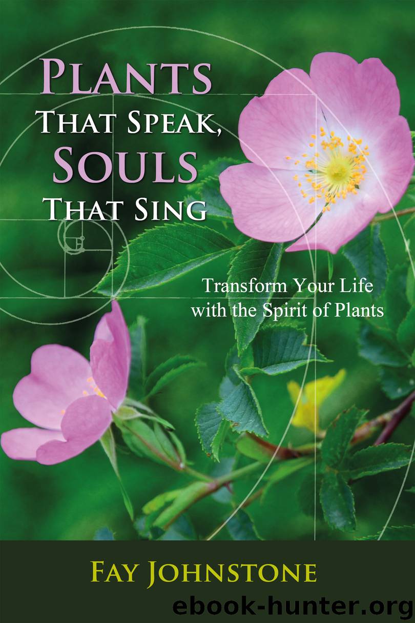 Plants That Speak, Souls That Sing by Fay Johnstone