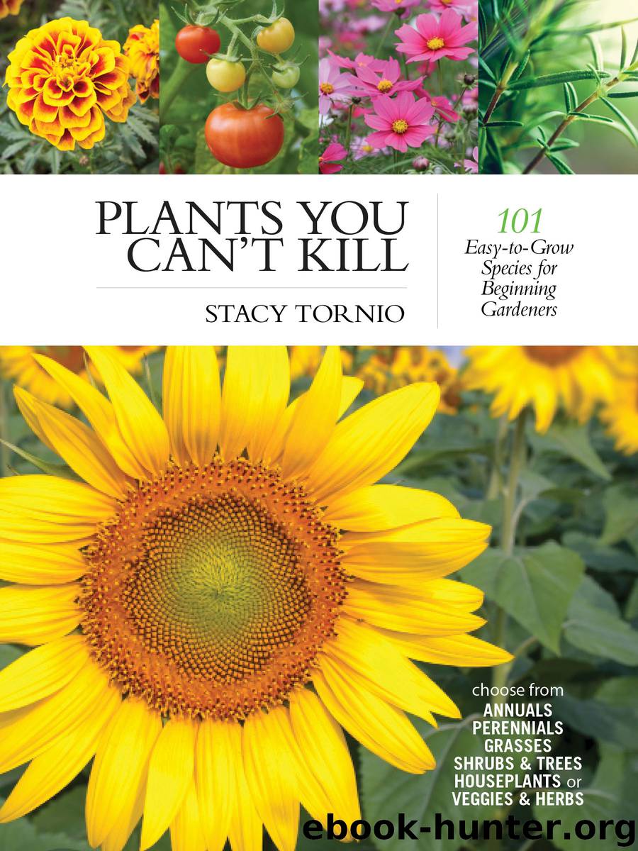 Plants You Can't Kill by Stacy Tornio