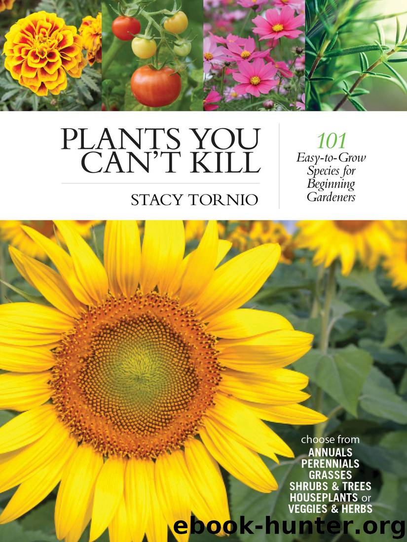 Plants You Can't Kill: 101 Easy-to-Grow Species for Beginning Gardeners by Stacy Tornio