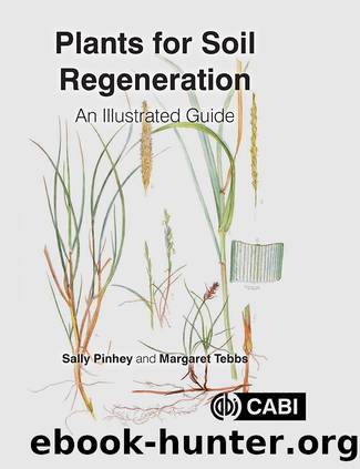 Plants for Soil Regeneration by Unknown