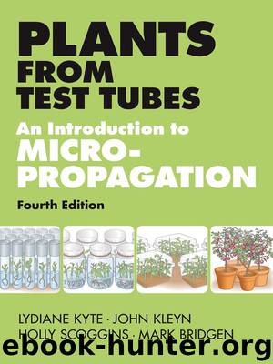 Plants from Test Tubes by Holly Scoggins