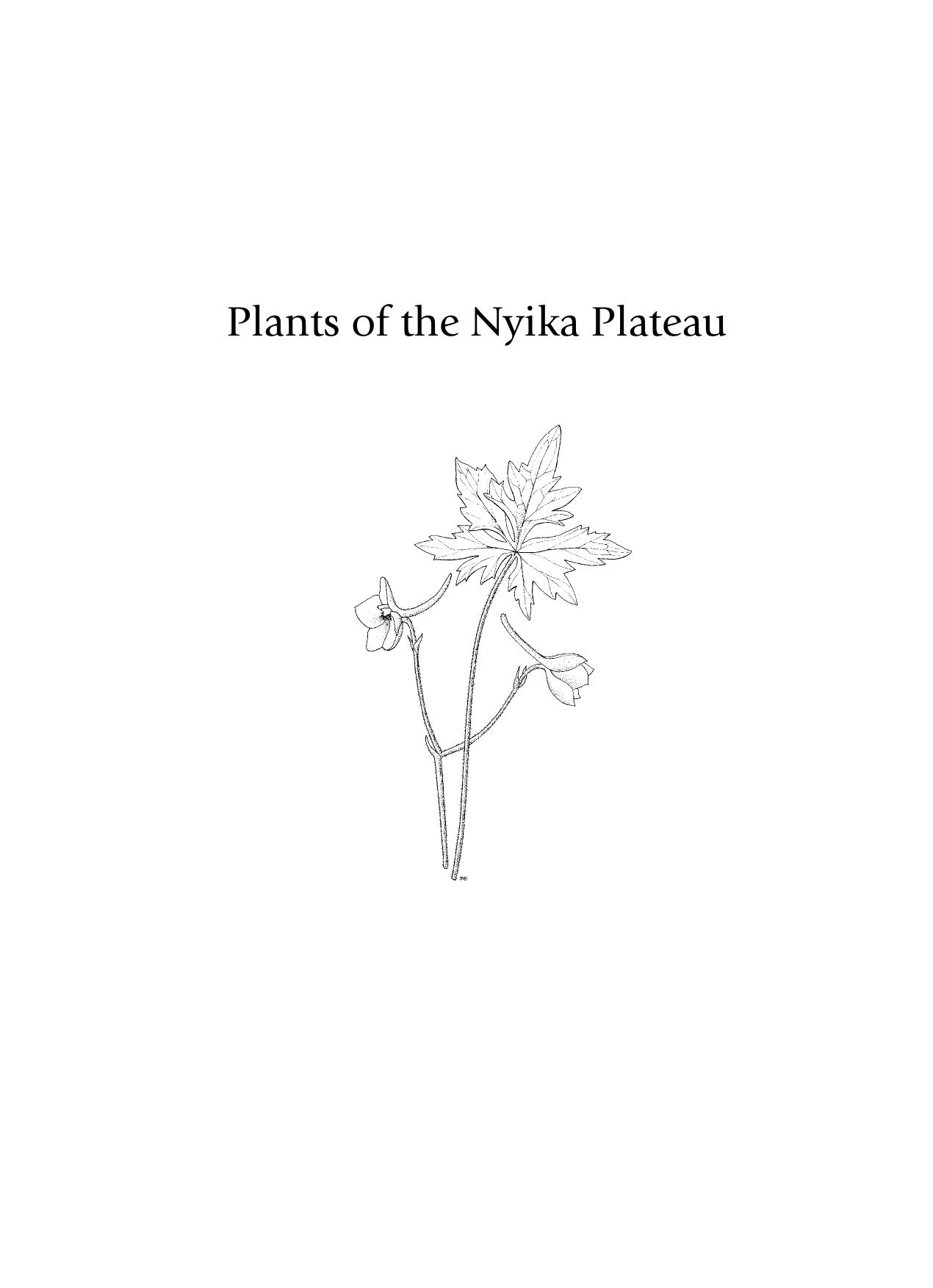 Plants of the Nyika Plateau: An Account of the Vegetation of the Nyika National Parks of Malawi and Zambia (Southern African Botanical Diversity Network Report) by coll