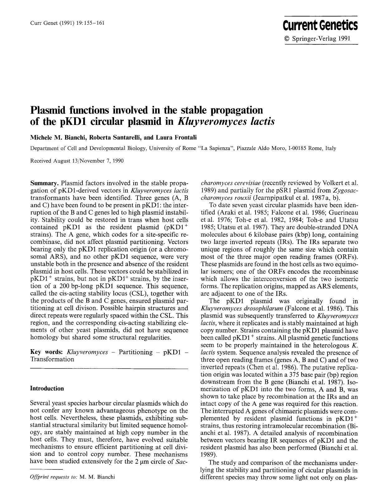 Plasmid functions involved in the stable propagation of the pKD1 circular plasmid in <Emphasis Type="Italic">Kluyveromyces lactis<Emphasis> by Unknown