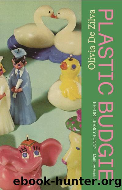 Plastic Budgie ePub by Olivia de Zilva