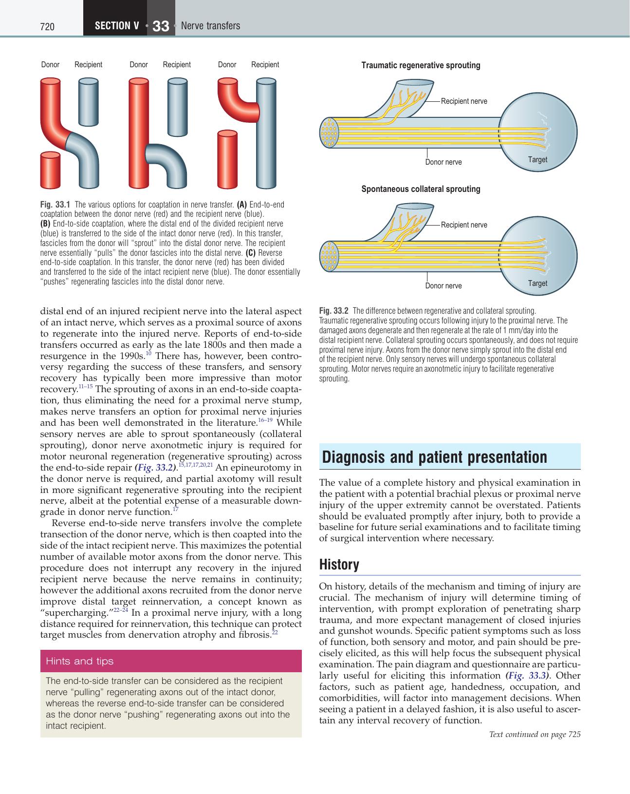 Plastic Surgery. Volume 6 Hand. Part 3 by Neligan P