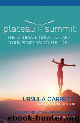 Plateau to Summit by Ursula Garrett