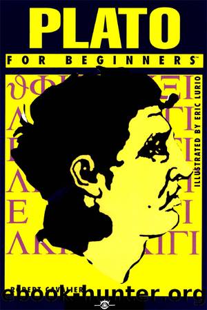 Plato For Beginners by Robert Cavalier
