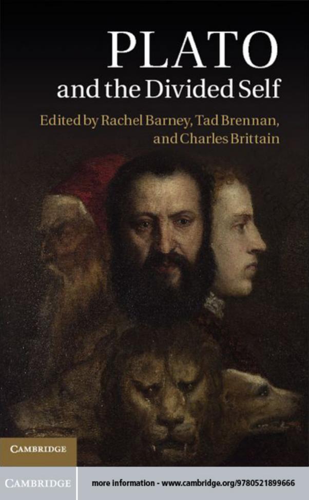 Plato and the Divided Self by Rachel Barney Tad Brennan Charles Brittain