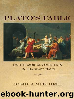 Plato's Fable by Mitchell Joshua; George Robert P. ;