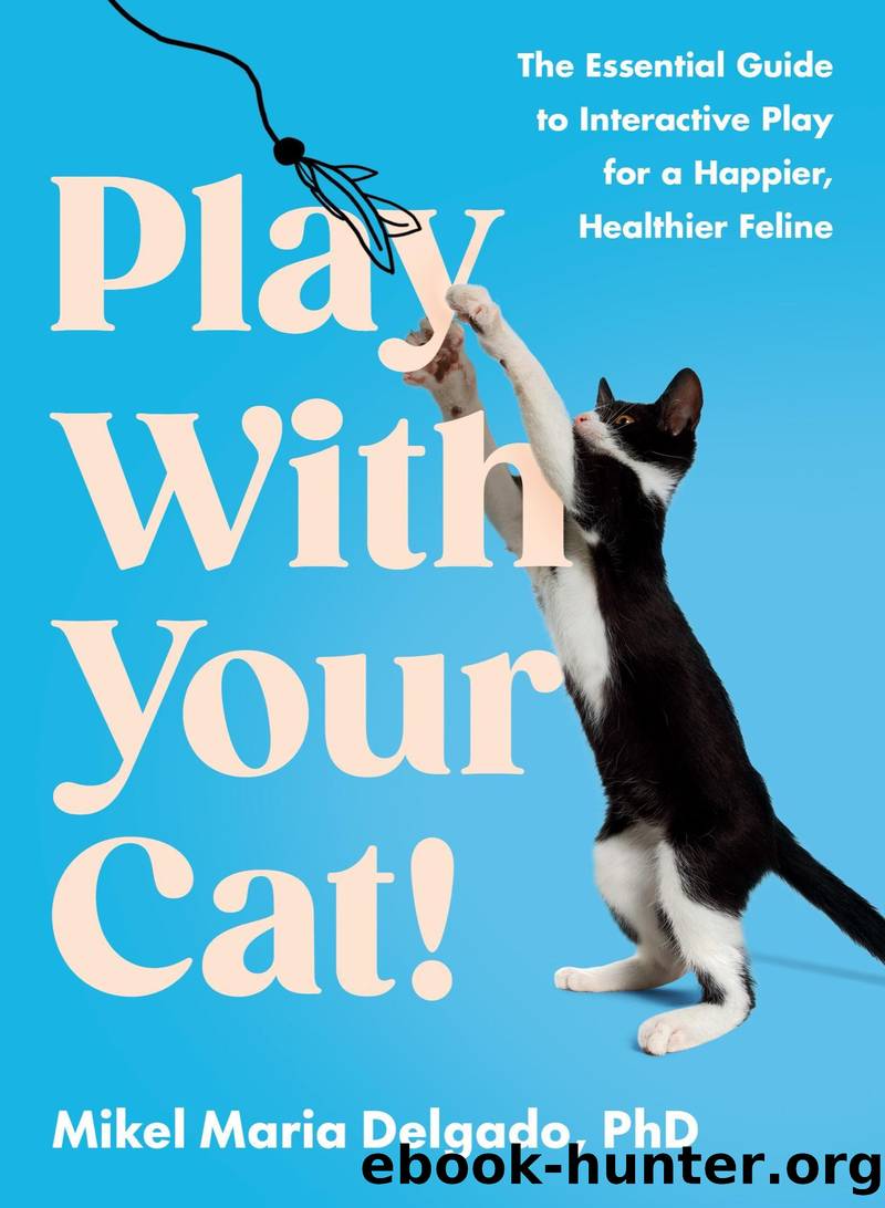Play With Your Cat! by Mikel Maria Delgado