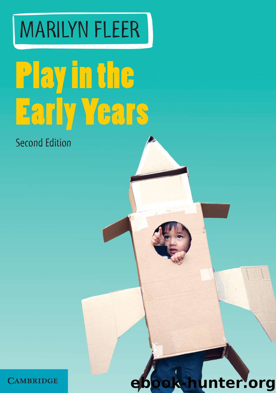 Play in the Early Years by Fleer Marilyn