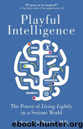 Playful Intelligence: The Power of Living Lightly in a Serious World by Anthony T. DeBenedet