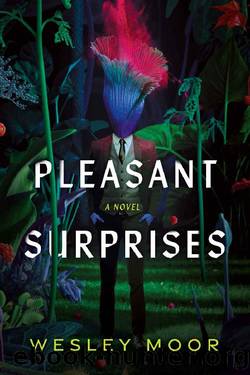 Pleasant Surprises by Wesley Moor