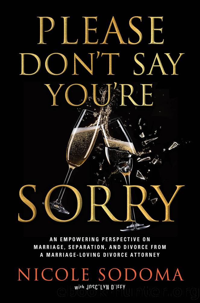 Please Don't Say You're Sorry by Nicole Sodoma