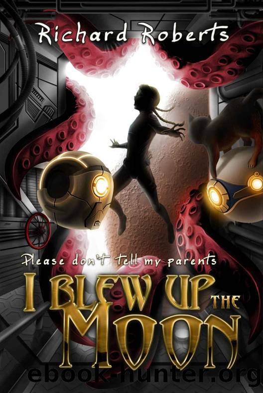 Please Don't Tell My Parents I Blew Up The Moon by Roberts Richard