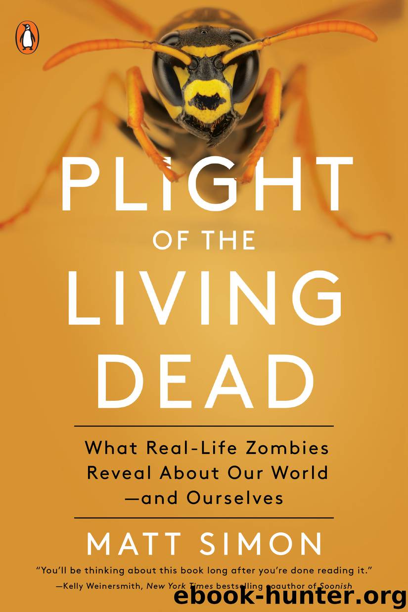 Plight of the Living Dead by matt simon