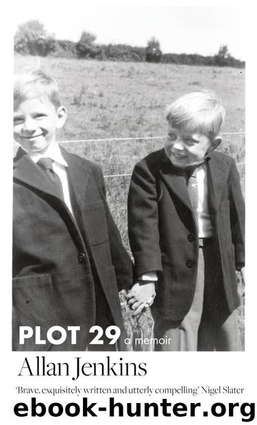 Plot 29 by Allan Jenkins