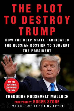 Plot to Destroy Trump by Theodore Malloch; Roger Stone