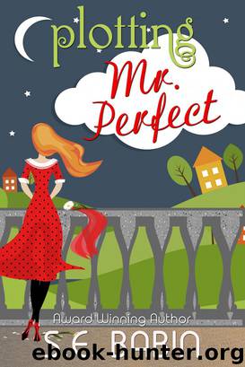 Plotting Mr. Perfect by S.E. Babin