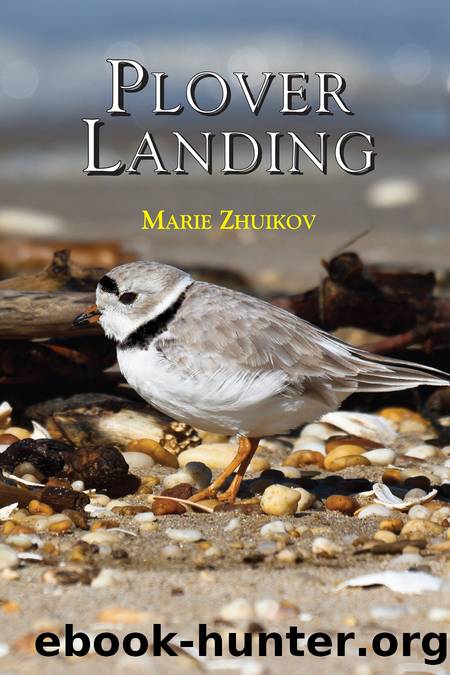 Plover Landing by Marie Zhuikov