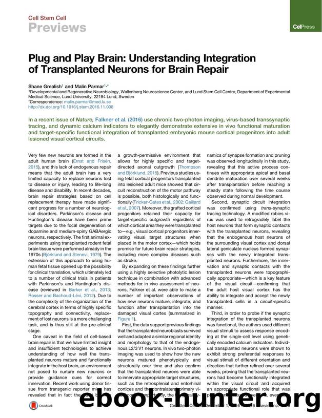 Plug and Play Brain: Understanding Integration of Transplanted Neurons for Brain Repair by Shane Grealish & Malin Parmar