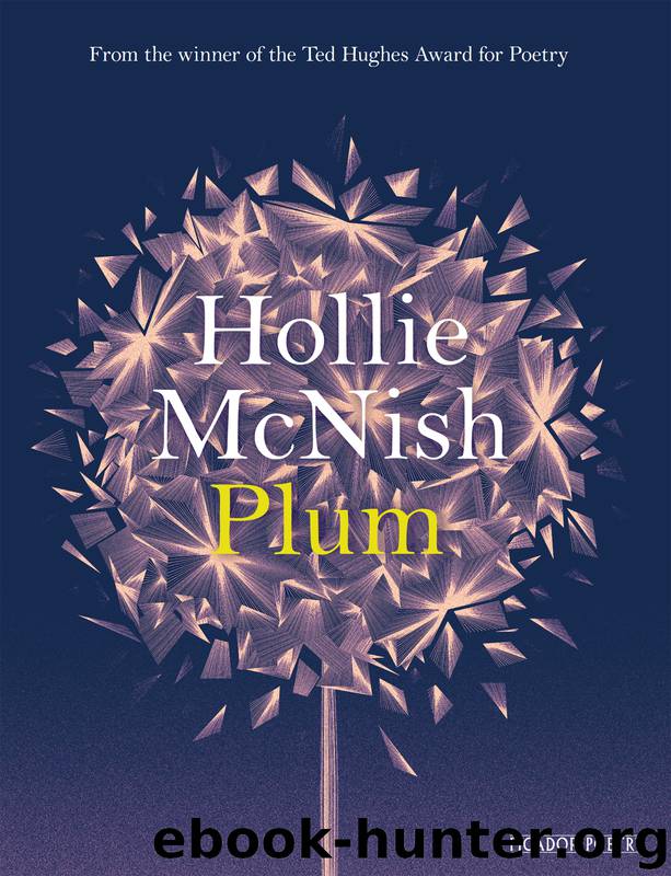 Plum by Hollie McNish