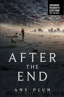Plum, Amy - After the End by Plum Amy