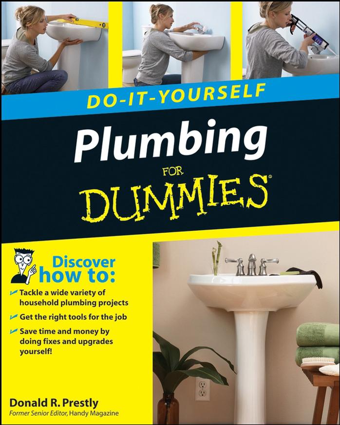 Plumbing Do It Yourself For Dummies by Unknown