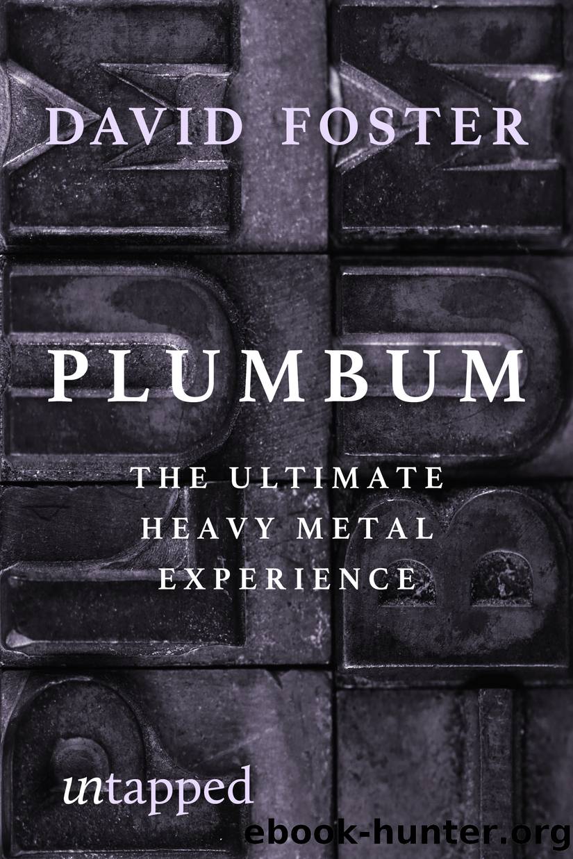 Plumbum by David Foster