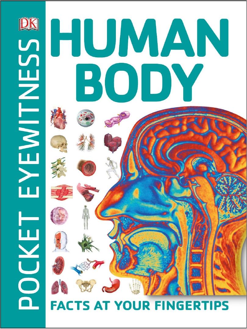 Pocket Eyewitness Human Body by Facts at Your Fingertips