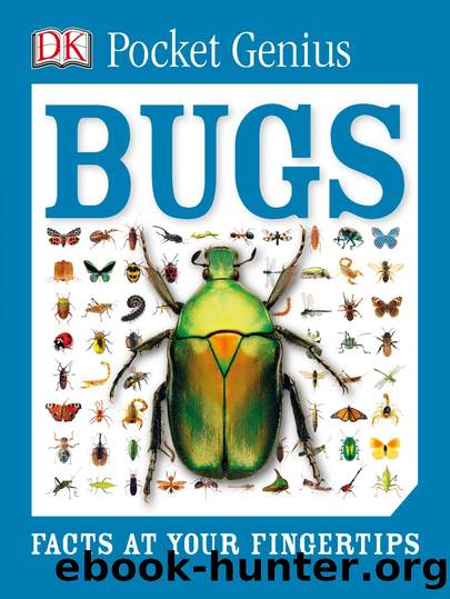 Pocket Genius Bugs by Dorling Kindersley