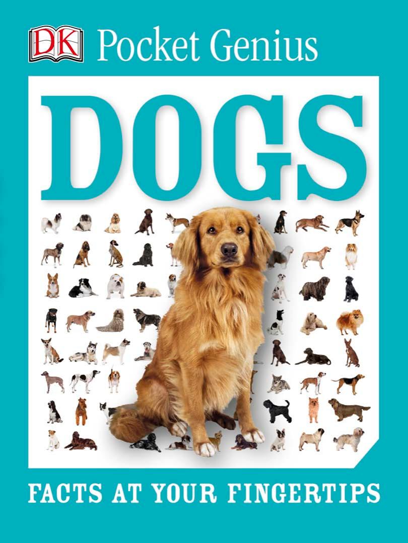 Pocket Genius: Dogs (Facts at your Fingertips) by Dorling Kindersley