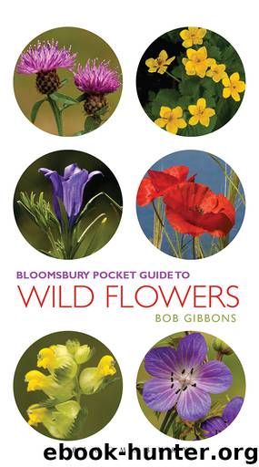 Pocket Guide To Wild Flowers by Bob Gibbons