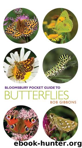 Pocket Guide to Butterflies by Bob Gibbons