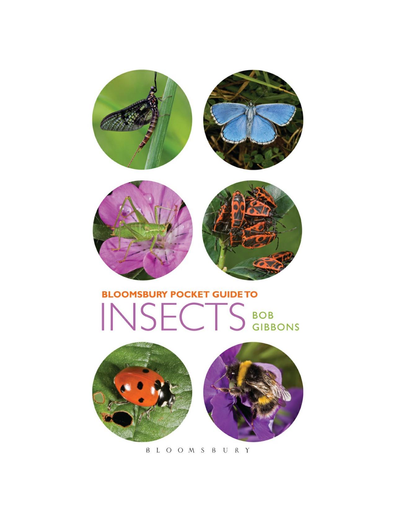 Pocket Guide to Insects by Bob Gibbons