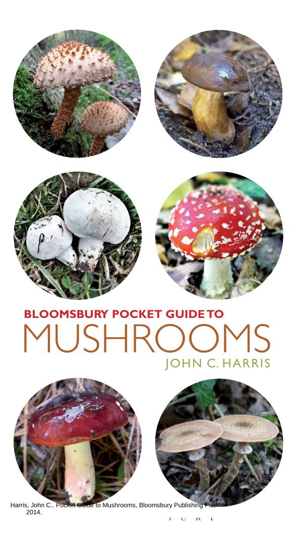 Pocket Guide to Mushrooms by Unknow