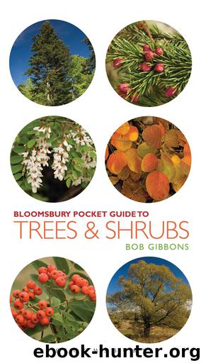Pocket Guide to Trees and Shrubs by Bob Gibbons