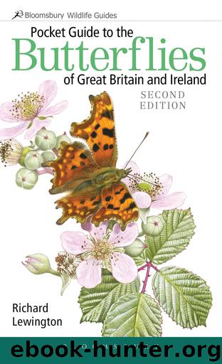 Pocket Guide to the Butterflies of Great Britain and Ireland by Richard Lewington