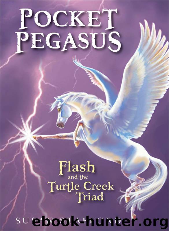 Pocket Pegasus by Susan Stafford