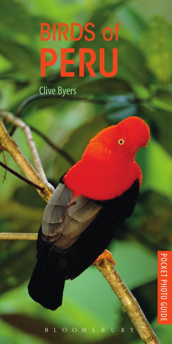 Pocket Photo Guide to the Birds of Peru by Byers Clive