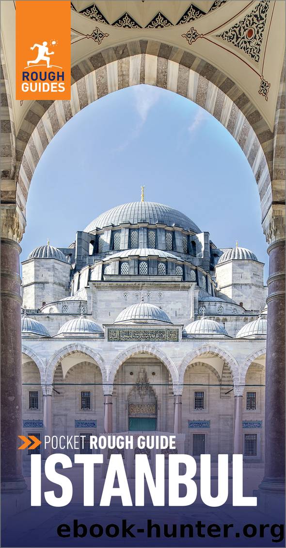 Pocket Rough Guide Istanbul by Rough Guides