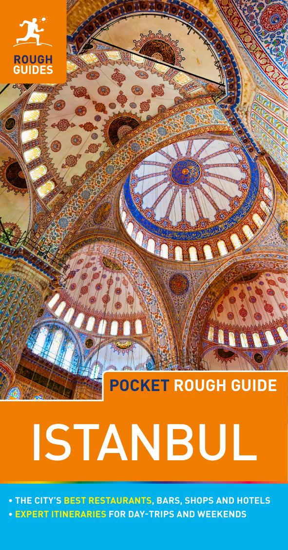 Pocket Rough Guide Istanbul by Terry Richardson