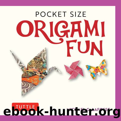 Pocket Size Origami Fun Kit by Michael G. LaFosse