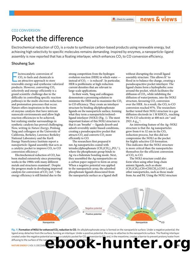 Pocket the difference by Shouheng Sun
