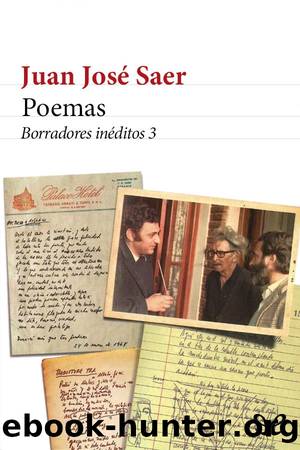 Poemas by Juan José Saer