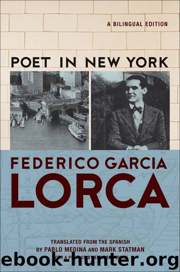 Poet in New York by Frederico Garcia Lorca