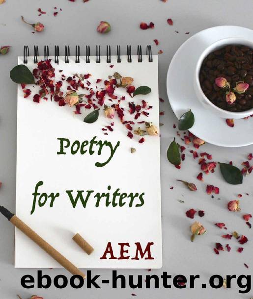 Poetry for Writers by A E M
